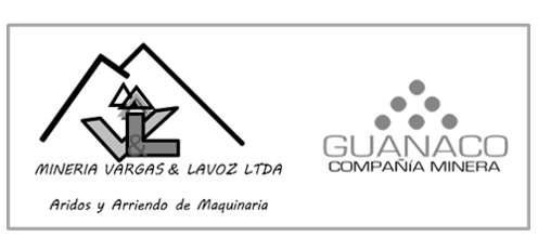 Guanaco
